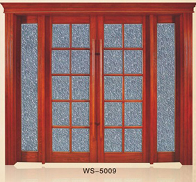 WS-5009